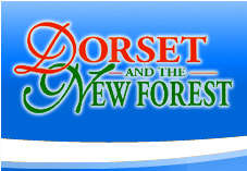 New Forest Dorset